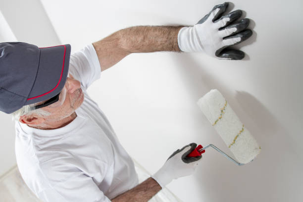 Best Drywall Removal and Disposal  in Glenwood City, WI