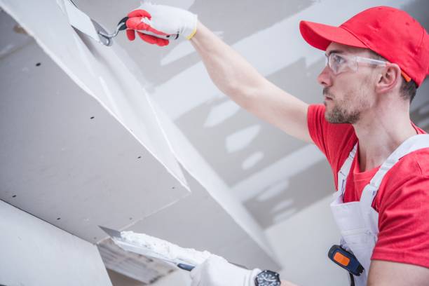 Best Trim and Molding Painting  in Glenwood City, WI